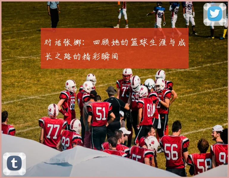 对话张娜：回顾她的篮球生涯与成长之路的精彩瞬间