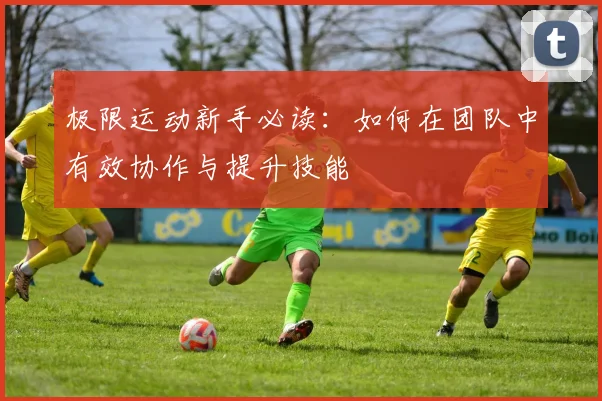 极限运动新手必读：如何在团队中有效协作与提升技能