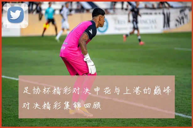足协杯精彩对决申花与上港的巅峰对决精彩集锦回顾